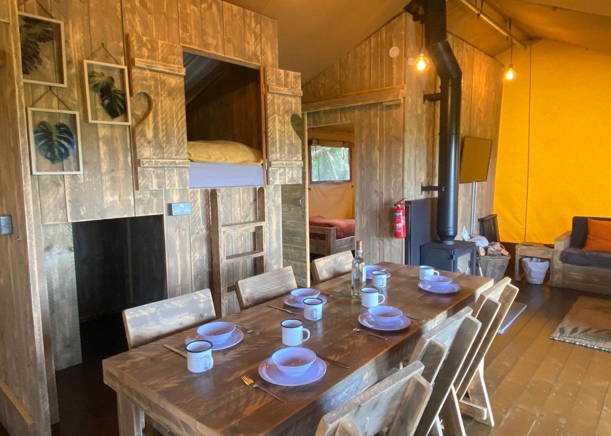 Florence Springs Glamping Gumfreston Zewnętrze zdjęcie