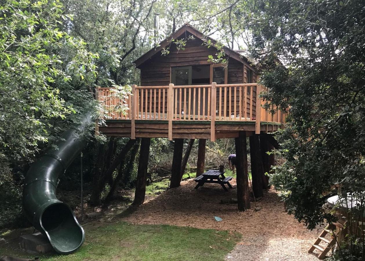Florence Springs Glamping Gumfreston Zewnętrze zdjęcie