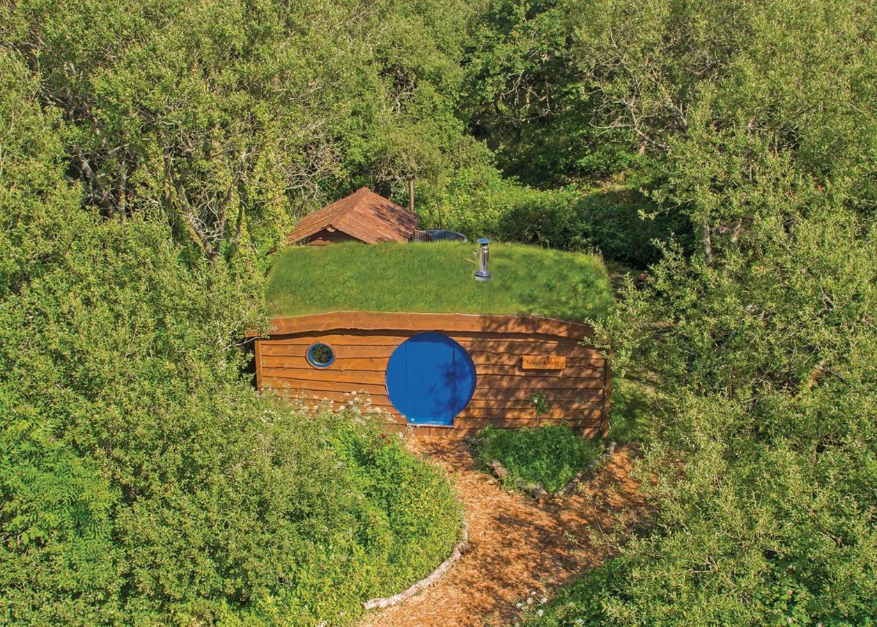 Florence Springs Glamping Gumfreston Zewnętrze zdjęcie